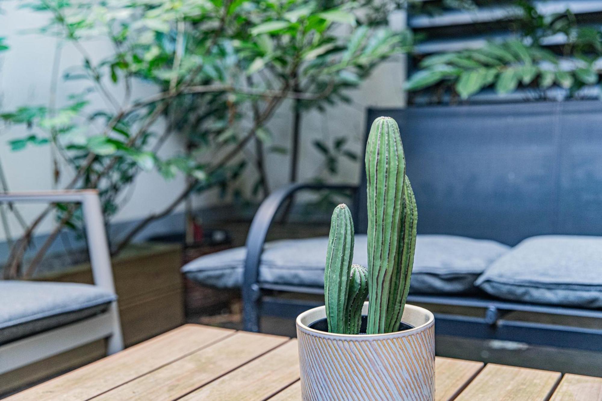 וינה Garden Apartment Near Haydnpark מראה חיצוני תמונה